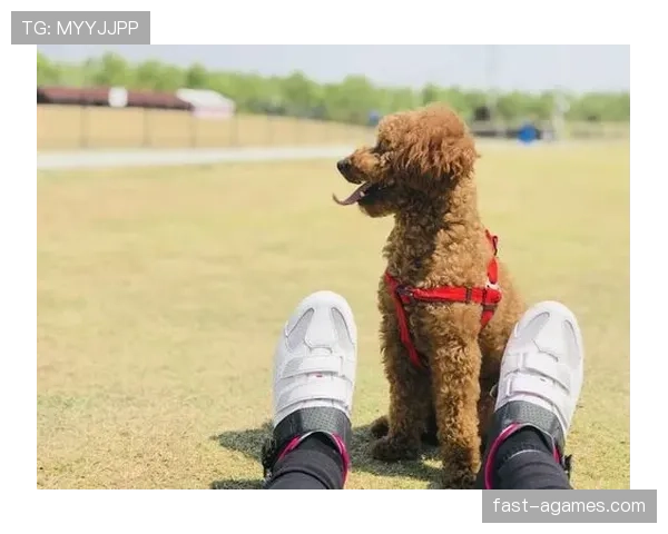 蒋圣龙家的狗都比我去过的地方多